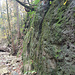 Wand am rechten Ufer im ersten Canyon