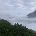 Blick von der Cellonschulter ins Gailtal