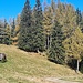 Am Hüttenanger 
