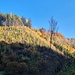 Am Start, bunter Herbstwald