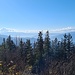 Südwesten 