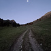 Unser Leben gleicht der Reise eines Wandrers in der Nacht...Auf dem Fahrweg Richtung Jaman, links unter dem tiefstehenden Mond prominent der Dent de Jaman