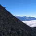 Äsende Gemse unterhalb Sautodoz, dahinter am Horizont Les Cornettes de Bise bis Pic Boré über dem Lac Léman