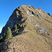 Auf dem unteren Rochers de Naye SW-Grat: gut sichtbar die schöne Pfadspur, der Steilaufschwung zur Schulter ca. 1940m, die Felsstufe und der ausgesetzte Gipfelgrat zur Plattform mit der Antenne