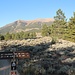 Wegbeginn am Lower South Elbert Trailhead