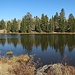 Lily Lake