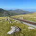 Im Abstieg zwischen Snowdon und Llanberis - Pfadspuren folgend unweit der SMR-Trasse.