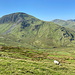 Im Abstieg zwischen Snowdon und Llanberis - "Seitenblick mit Schaf" zum Moel Cynghorion (674 m).