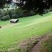 auf dem Panoramaweg zurück nach Niederau