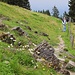unterwegs zum Halsgatterl