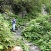 schöner Abstiegspfad
