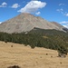 West Spanish Peak von der Lichtung