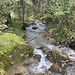 ... mit Blick bachabwärts