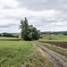 ... sanft ins Rotmain-Tal herabsenkt. Weit schweift der Blick über die Feldlandschaft, strukturiert von großen und kleinen Baumgruppen.