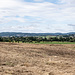 Blick Nordwest gen Roter Main und unserem Hinweg.