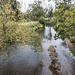 Rotmainbrücke hinter Lanzenreuth.