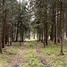 Der Wald schützt uns wieder gut vom weiterhin wehenden Wind und bietet sich an für ...