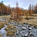 <b>Cammino su un soffice tappeto di aghi di fianco al torrente Ri d’in Erlöngh, un immissario dell’Isorno.<br />Il toponimo Erlöngh significa "lungo orlo di un precipizio", "ciglione", "poggio", "rialzo". </b>