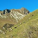 Zu meinem Erstaunen war das Vieh noch auf der Alp Fatnella.