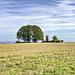 Danach über die offene Rangen-Hochfläche zum Spitzeichener Turm (528 m). Höchster Punkt der Tour, erbaut 1927 in gemütlicher Blockstein-Architektur. Schattige Rastbänke finden sich neben dem Turm in einer kreisförmig gepflanzten Gruppe von Eichen. Hinten winken Höhenzüge des nahen Frankenwalds.