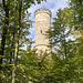 ... und am nächsthöheren Weg links weiter: das ist der Hauptweg auf dem Rehbergrücken und er bringt mich nun nordwestärts bald zum Rehturm.