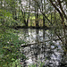 ... vorbei noch an einem weiteren Weiher (namenlos) ... 