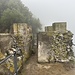 in der Nähe des Douglas Lookout