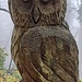 Stummer Waldbewohner