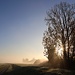 Nebelmorgen