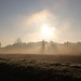Nebelmorgen