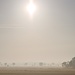 Nebelmorgen in flachem Land