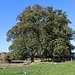 Einstiger Standort der Wasserburg Bieberach