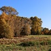 Am Ortsrand Freitelsdorf
