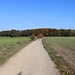Flurweg bei Rödern