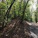 Vorbereiteter Bahndamm