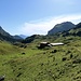 Alpage de Loz