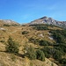 Wunderschön geht es zum Hirschpleiskopf