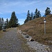 her gehe ich auf den Alpinen, blauweissen Wanderweg nach rechts zum Vilan