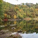 Herbst an der Basaltgrube