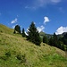 und wieder hinab