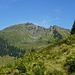 Blick zum Gebra Ranken