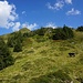 unterwegs zum Hennlabjoch