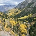 Tolle Herbstfarben im Canyon Creek bei der Rückfahrt
