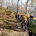 In fila nel bosco