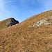 Im Anstieg zum Hörnlekopf
