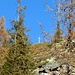 Ecco la croce