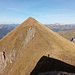Auf dem Weg zum Grünen Gräshorn