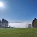 Pt. 950 im Bodenwald ist der höchste Punkt im Bereich der Mänziwilegg und an diesem Morgen der einzige in meiner Umgebung, der dauerhaft über der Nebelgrenze liegt.