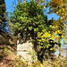 Ruine der alten Wasserleitung