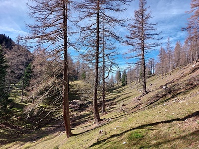 Bei der Magdeburger Hütte schwenke ich nach Osten und hinunter zur...